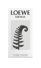 Loewe Esencia pour Homme Eau de Parfum