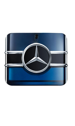 Mercedes-Benz Sign (Tester)